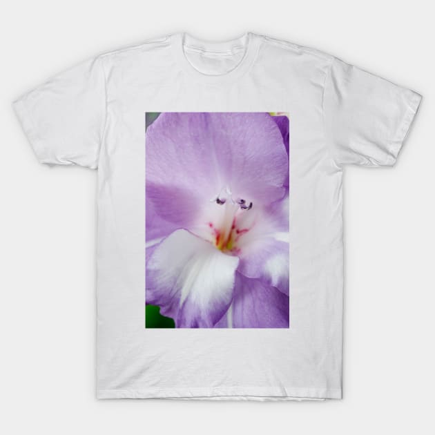 Gladiolus  'Nori' T-Shirt by chrisburrows